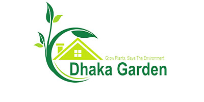 Data Solution Online website development and design